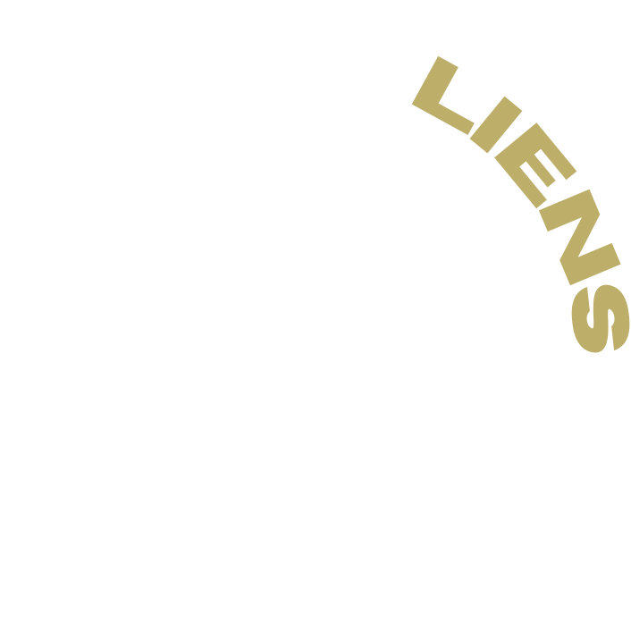 Activité Lien